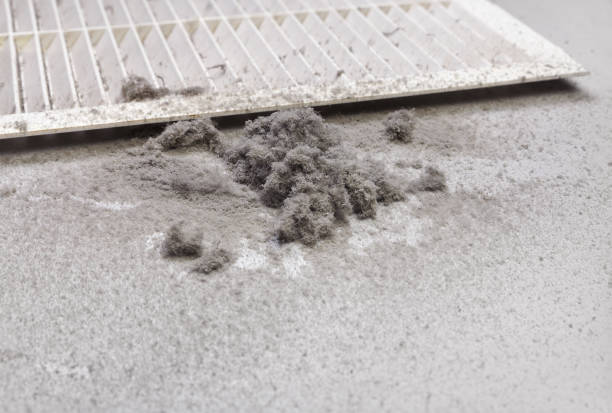 Best Ductwork Cleaning Services  in Nokomis, IL